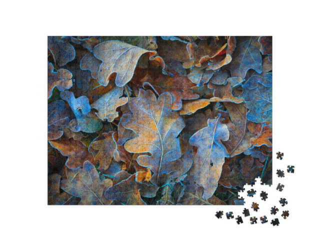 Puzzle 1000 Teile „Gefrorene Eichenblätter“