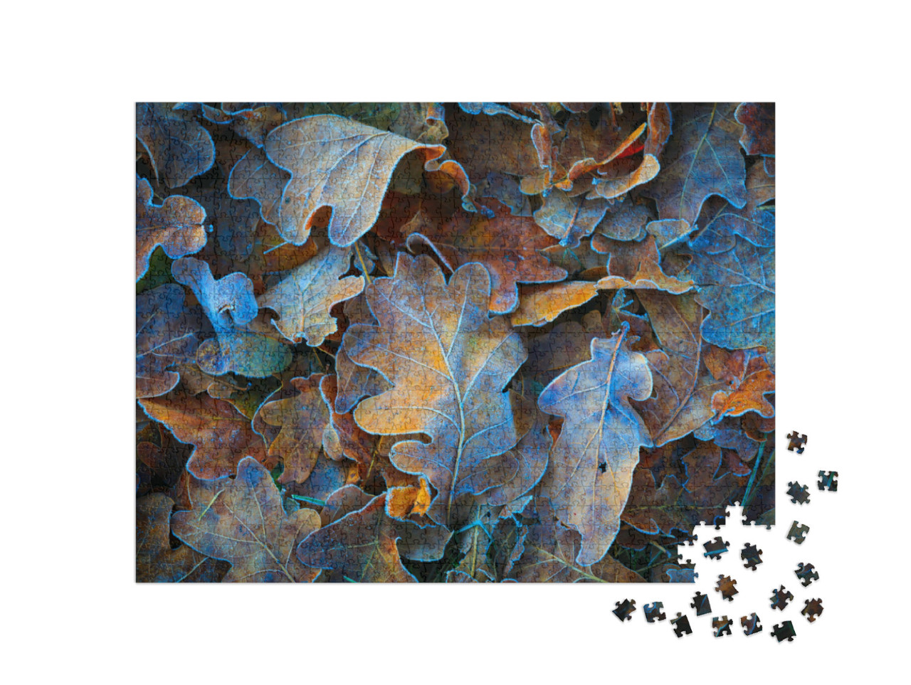 Puzzle 1000 Teile „Gefrorene Eichenblätter“