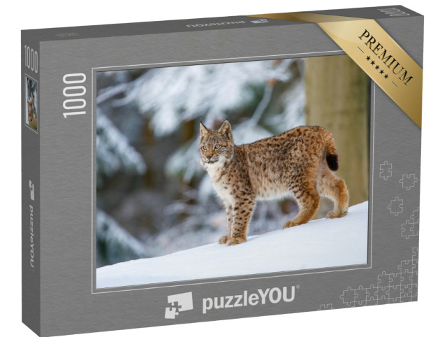 Puzzle 1000 Teile „Eurasischer Luchs im Winter“