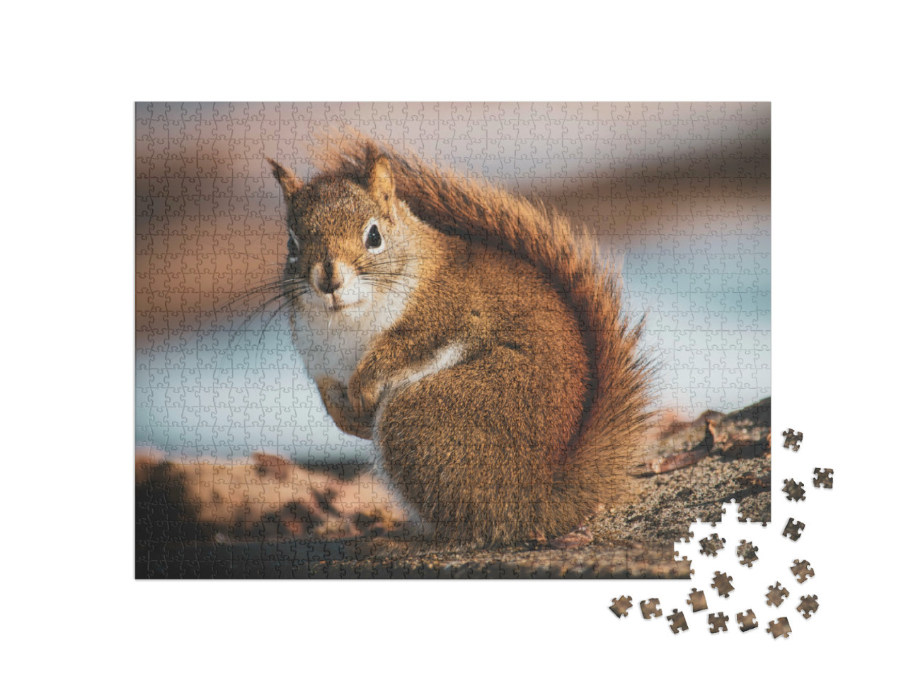 Puzzle 1000 Teile „Kleines Eichhörnchen im Wald“