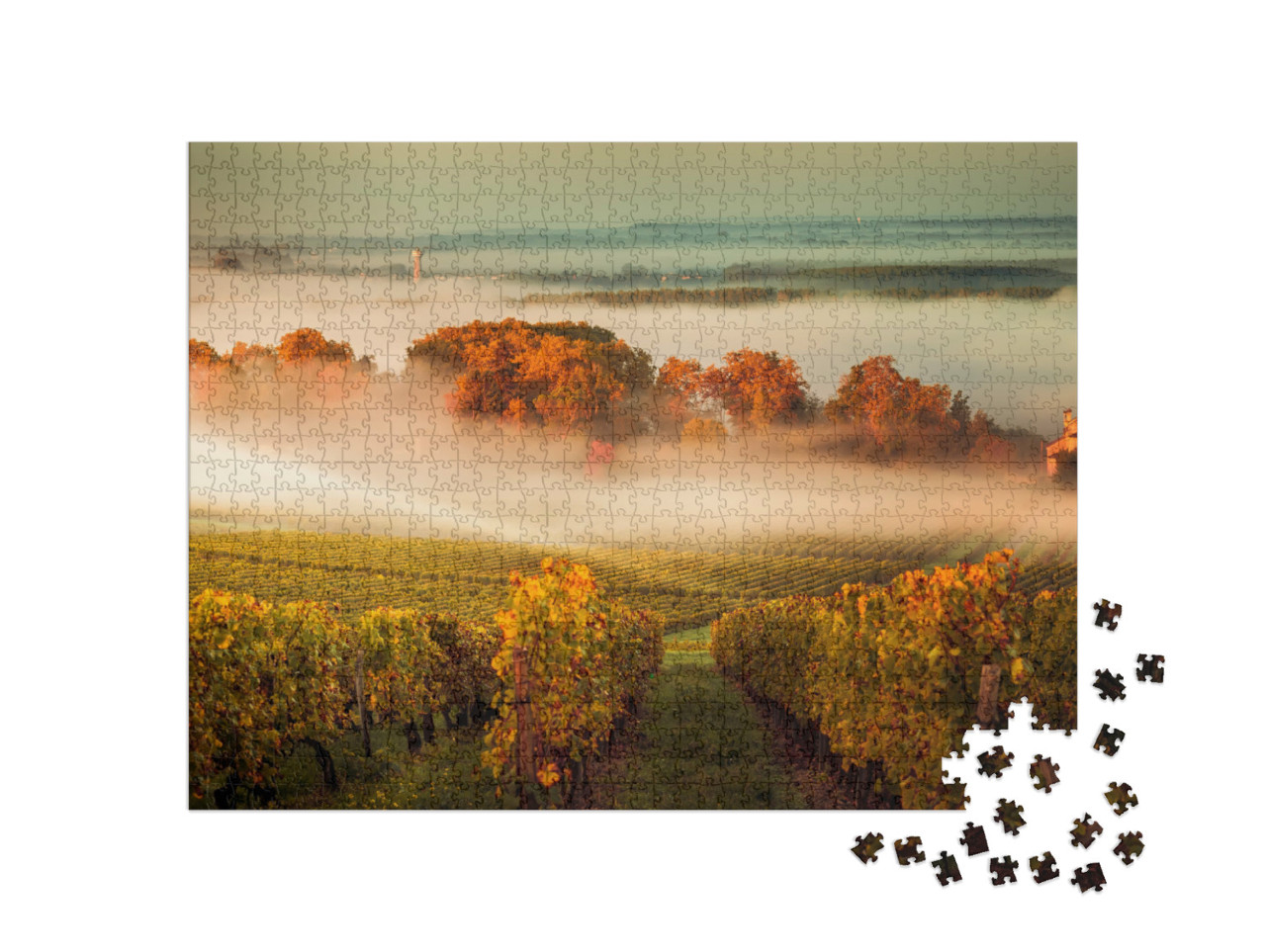 Puzzle 1000 Teile „Weinberge bei Sonnenuntergang in Bordeaux, Frankreich “
