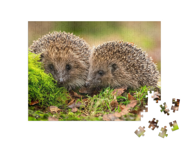 Puzzle 200 Teile „Zwei Igel kuscheln im Moos und Laub“