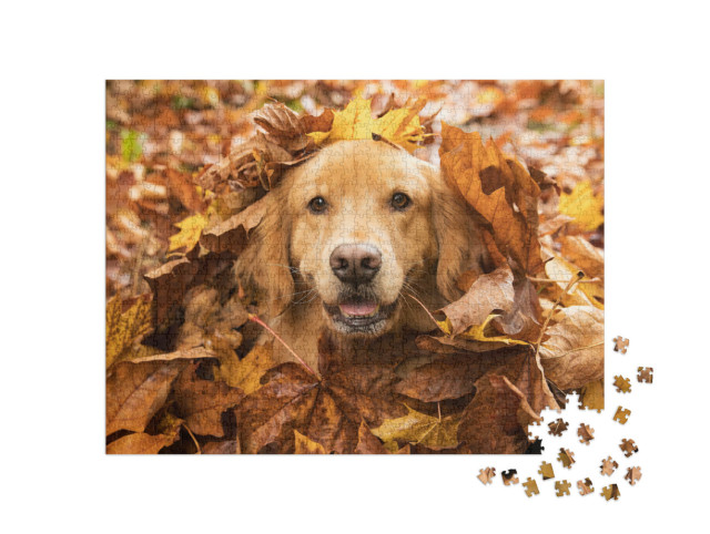 Puzzle 1000 Teile „Golden Retriever, versteckt im Herbstlaub“
