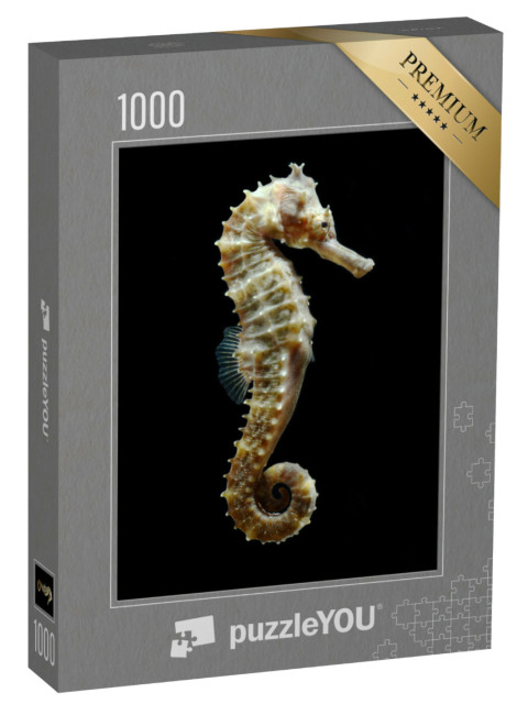 Puzzle 1000 Teile „Ein Seepferdchen in Nahaufnahme“