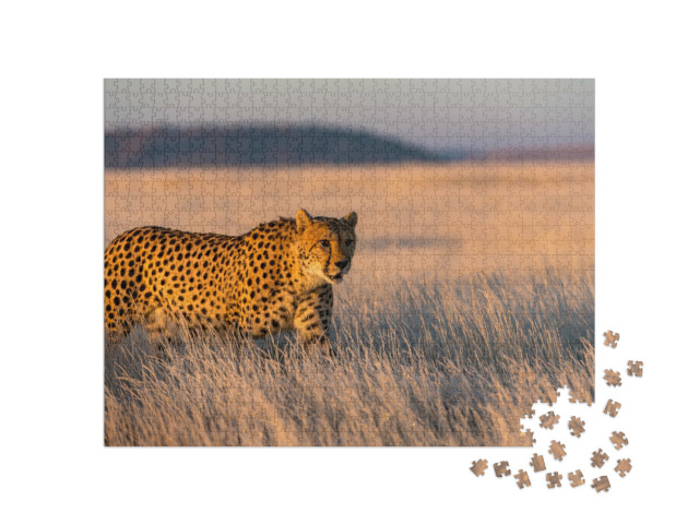 Puzzle 1000 Teile „Gepard durchstreift sein Revier“