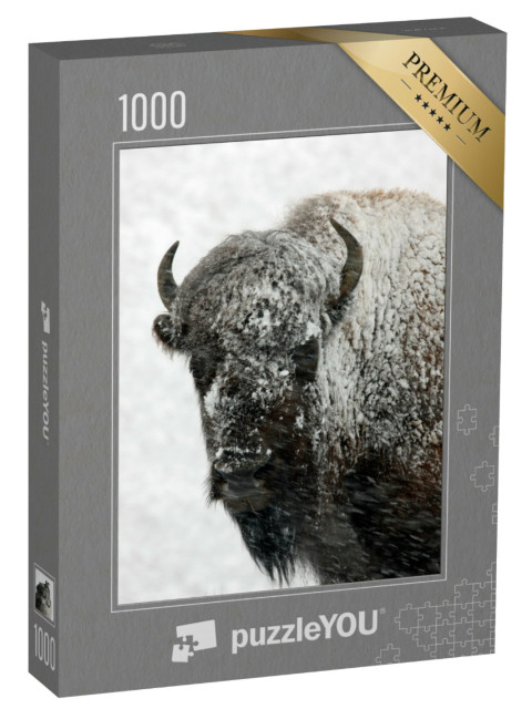 Puzzle 1000 Teile „Bison im Schnee, Yellowstone-Nationalpark“