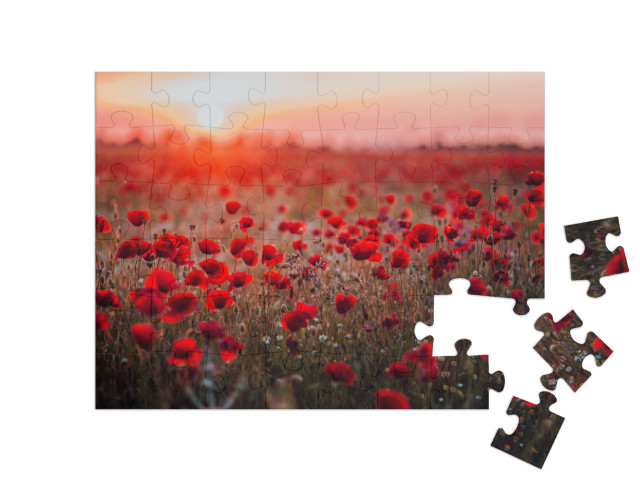 Puzzle 48 Teile „Mohnblumenfeld im Sonnenuntergang“