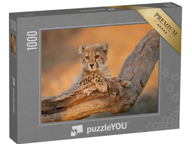 Puzzle 1000 Teile „Gepardenbabys auf einem Ast im Kruger Park, Südafrika“