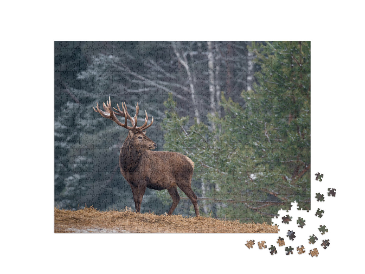 Puzzle 1000 Teile „Stolzer Hirsch mit großen Geweih, einsam im Wald“
