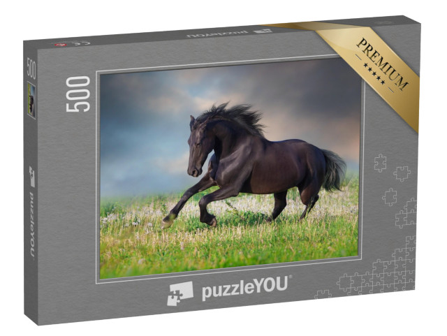 Puzzle 500 Teile „Friesenpferd im Galopp auf frühlingsgrüner Wiese“