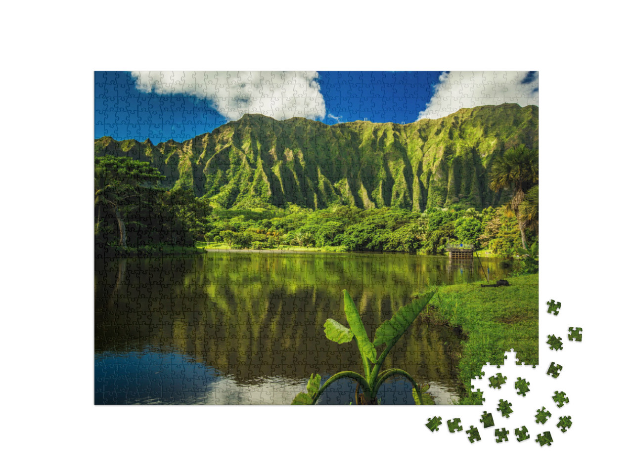 Puzzle 1000 Teile „Ho'omaluhia Botanischer Garten in Kaneohe, Oahu, Hawaii“