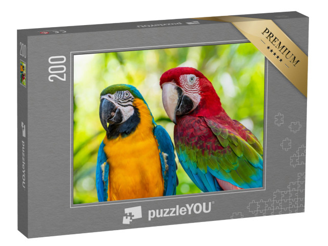 Puzzle 200 Teile „Papagei, Aras “