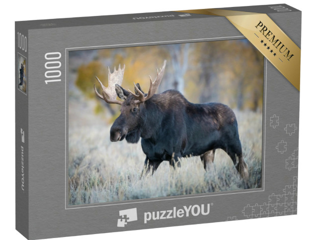 Puzzle 1000 Teile „Elch steht im trockenen Gras, Yellowstone, USA“