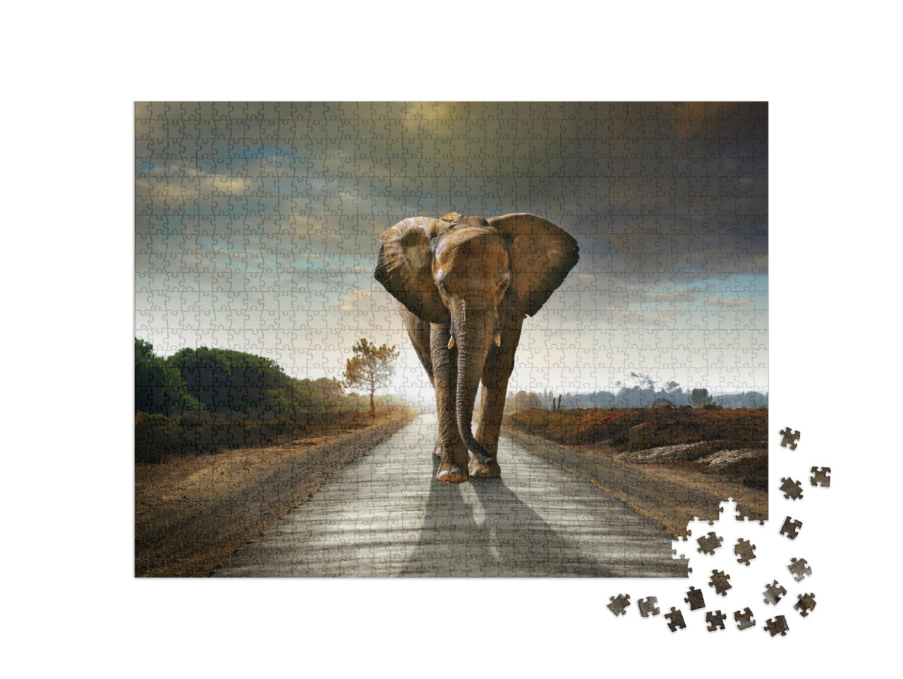 Puzzle 1000 Teile „Elefant auf einer Straße“
