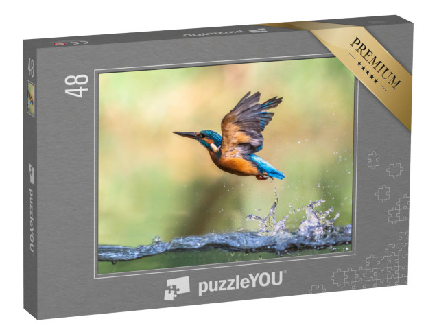 Puzzle 48 Teile „Eisvogel fliegt aus dem Wasser“