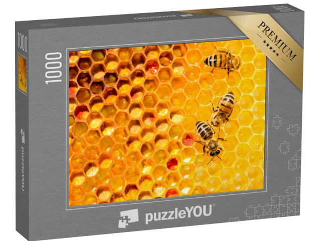 Puzzle 1000 Teile „Nahaufnahme von Bienen auf einer Wabe“