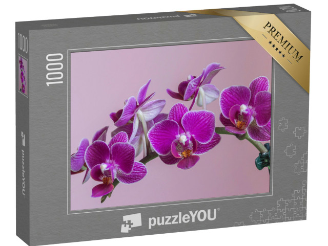 Puzzle 1000 Teile „Mottenorchidee als wunderschöne lila Orchidee“