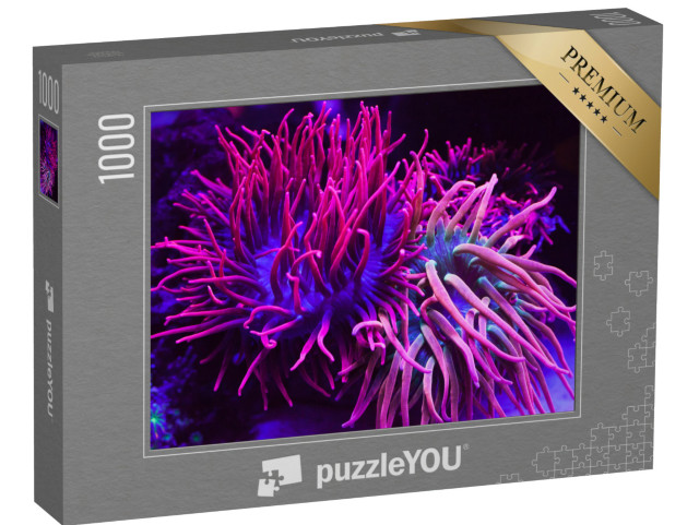 Puzzle 1000 Teile „Strahlend violette Korallen in einem Aquarium“