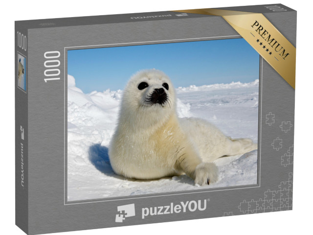 Puzzle 1000 Teile „Baby Sattelrobbe, Magdaleneninseln“