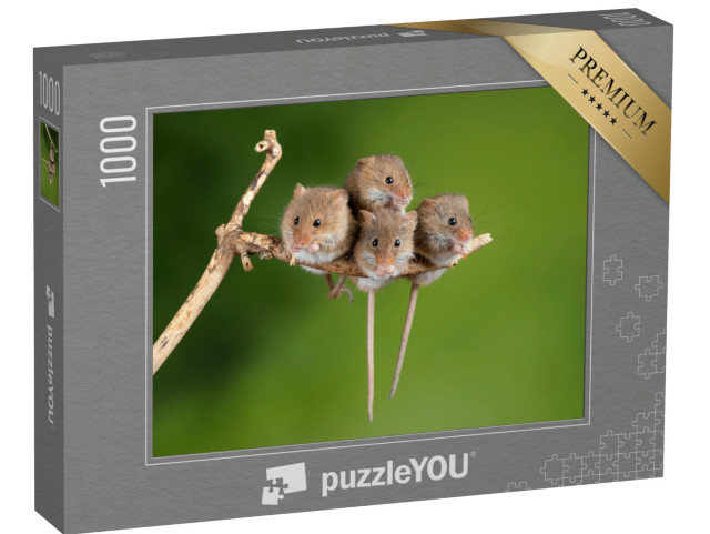 Puzzle 1000 Teile „Vier süße Mäuse auf einem winzigen Ast“