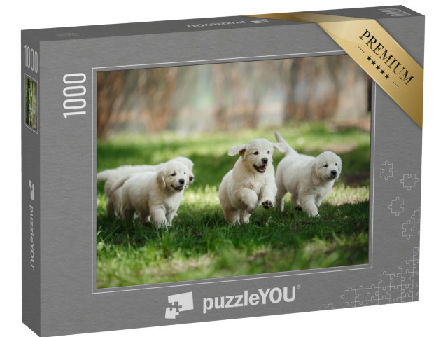 Puzzle 1000 Teile „Golden-Retriever-Welpen im Park “