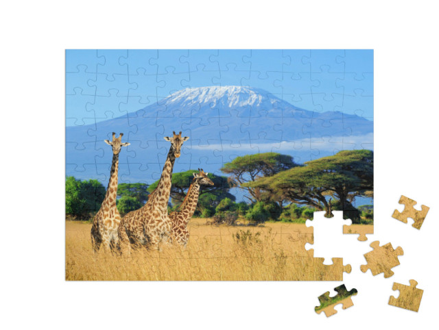 Puzzle 100 Teile „Giraffen am Kilimandscharo, Bild aus dem Nationalpark in Kenia“