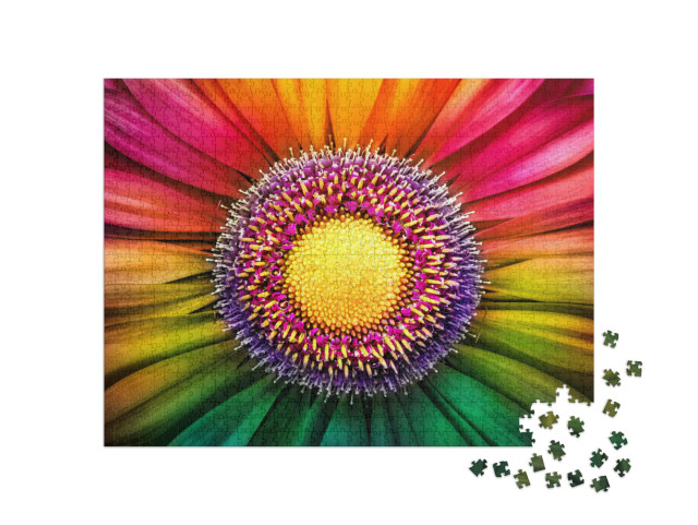 Puzzle 1000 Teile „Gerbera - Makrofotografie“