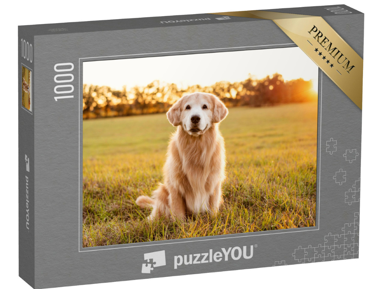 Puzzle 1000 Teile „Golden Retriever auf einer Wiese im Sonnenuntergang“