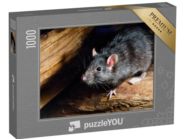 Puzzle 1000 Teile „Die schwarze Ratte, auch bekannt als Schiffsratte oder Hausratte“