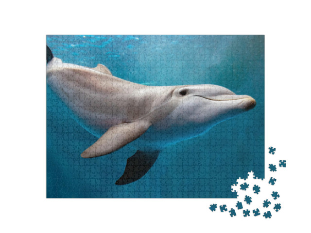 Puzzle 1000 Teile „Delphin unter Wasser auf blauem Ozean“
