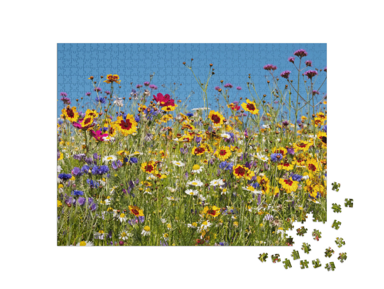 Puzzle 1000 Teile „Bunte Wildblumen blühen vor dem Savill Garden, Egham, Surrey“