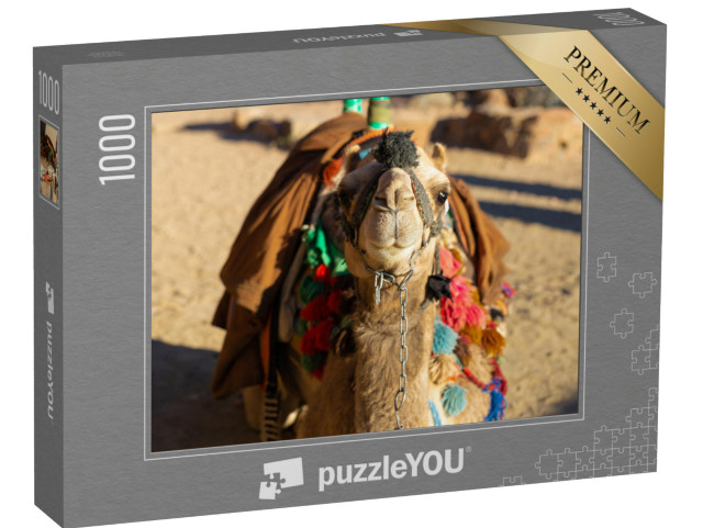 Puzzle 1000 Teile „Dromedar Kamel vor dem Sand der heißen Wüste, Ägypten, Sinai“