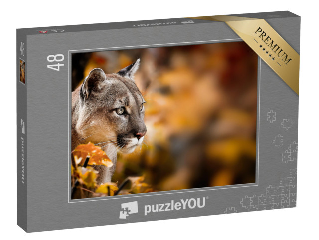 Puzzle 48 Teile „Puma, auch bekannt als Berglöwe“