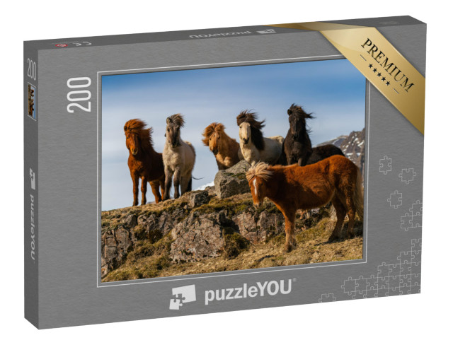 Puzzle 200 Teile „Eine Herde von Island-Pferden im rauhen Wind“