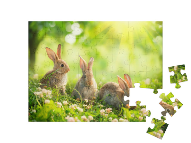Puzzle 48 Teile „Niedliche Kaninchen auf einer Frühlingswiese“