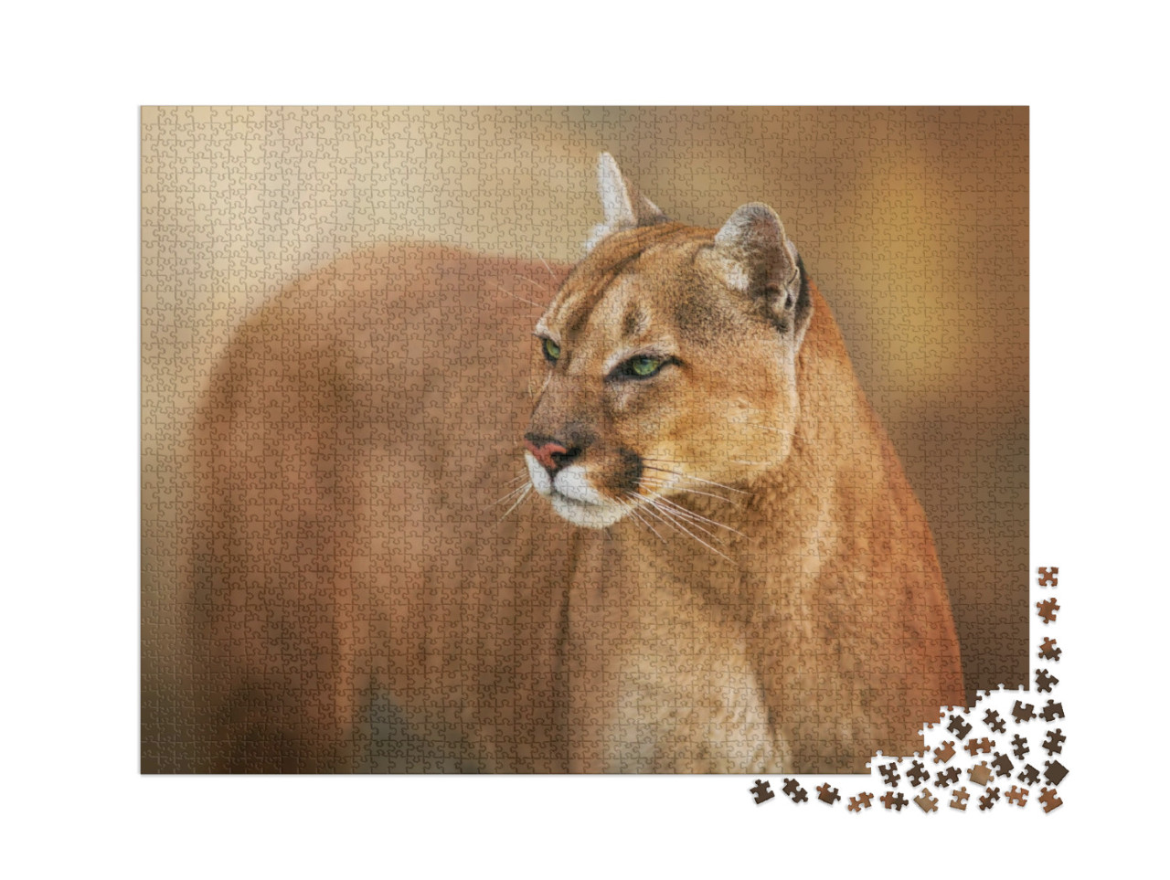 Puzzle 2000 Teile „Puma mit grünen Augen“