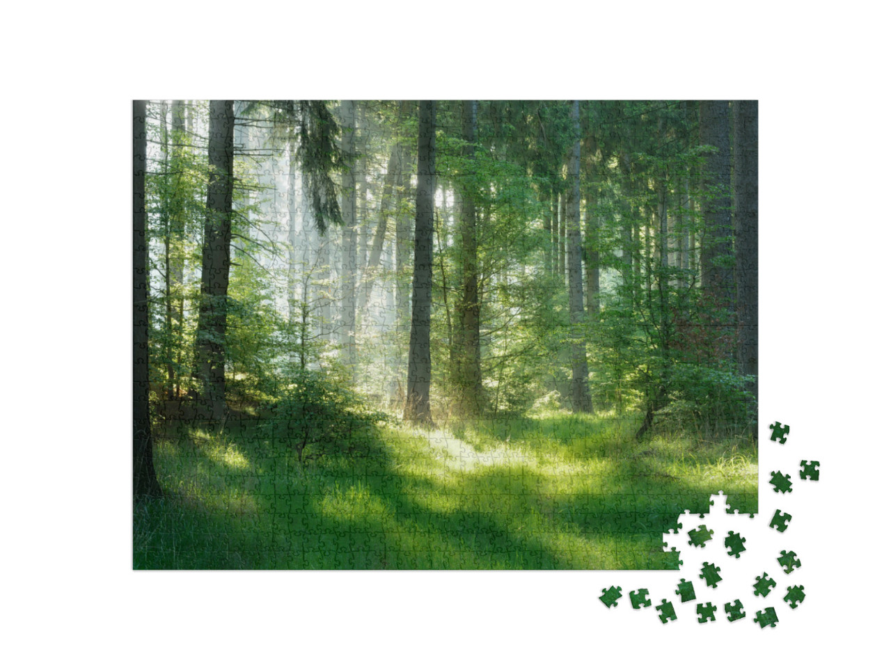 Puzzle 1000 Teile „Eine mystische Atmosphäre im Fichtenwald“
