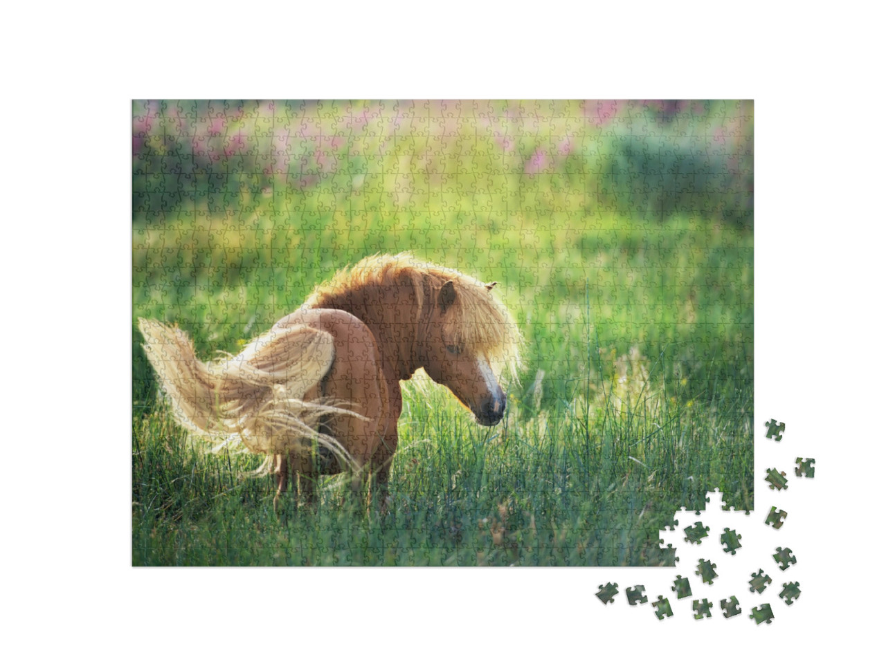 Puzzle 1000 Teile „Shetlandpony auf grüner Sommerweide“