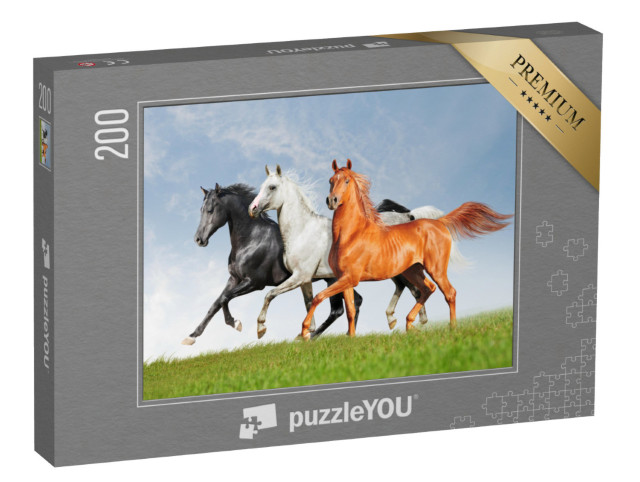 Puzzle 200 Teile „Drei Araber-Pferde“