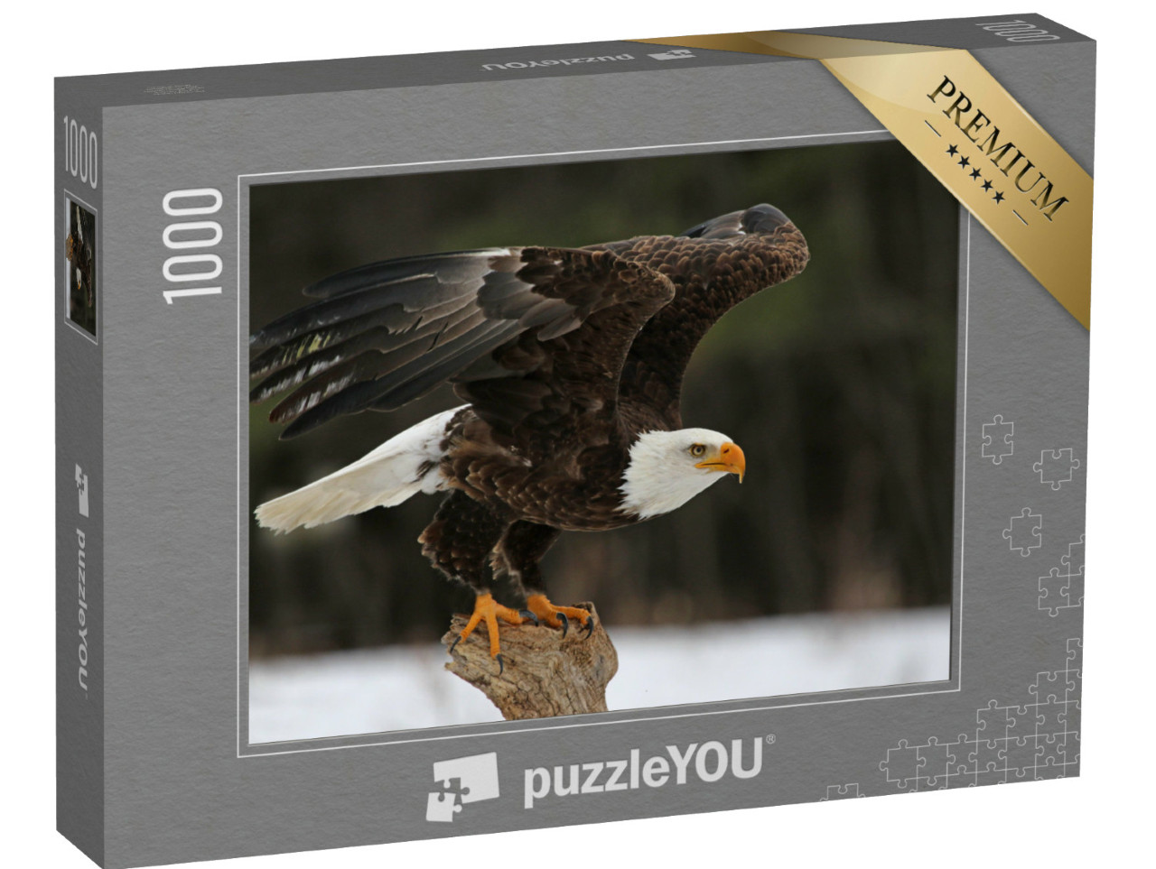 Puzzle 1000 Teile „Ein Weißkopfseeadler“