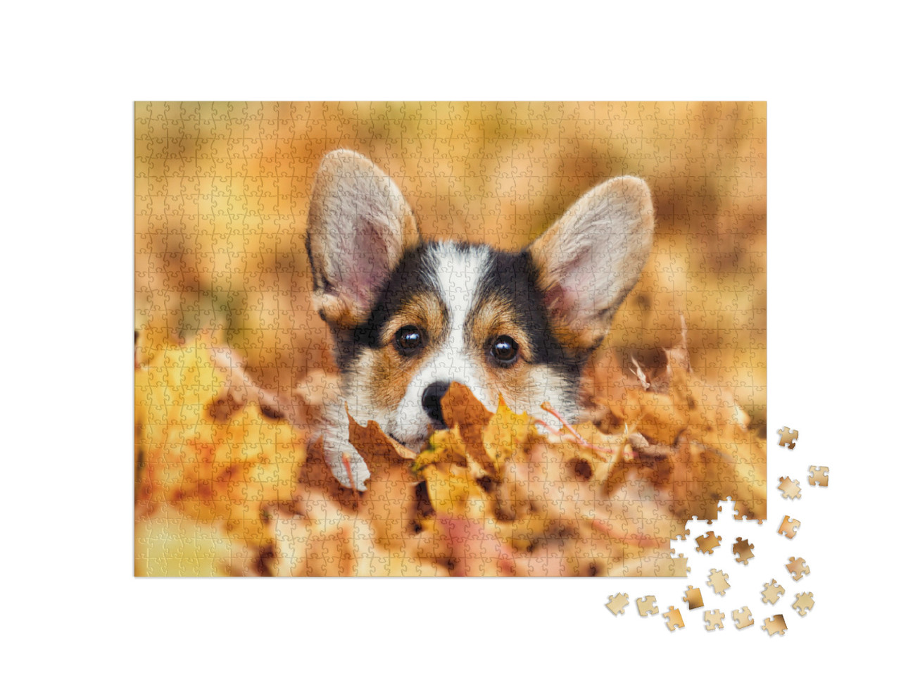 Puzzle 1000 Teile „Welsh Corgi im Herbstlaub “