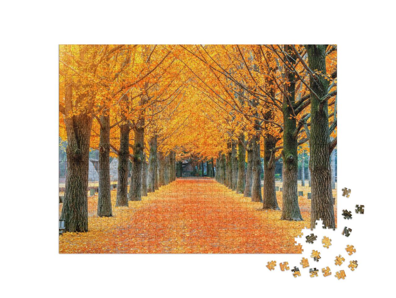 Puzzle 1000 Teile „Reihe von gelben Ginkgobäumen auf der Insel Nami, Korea“