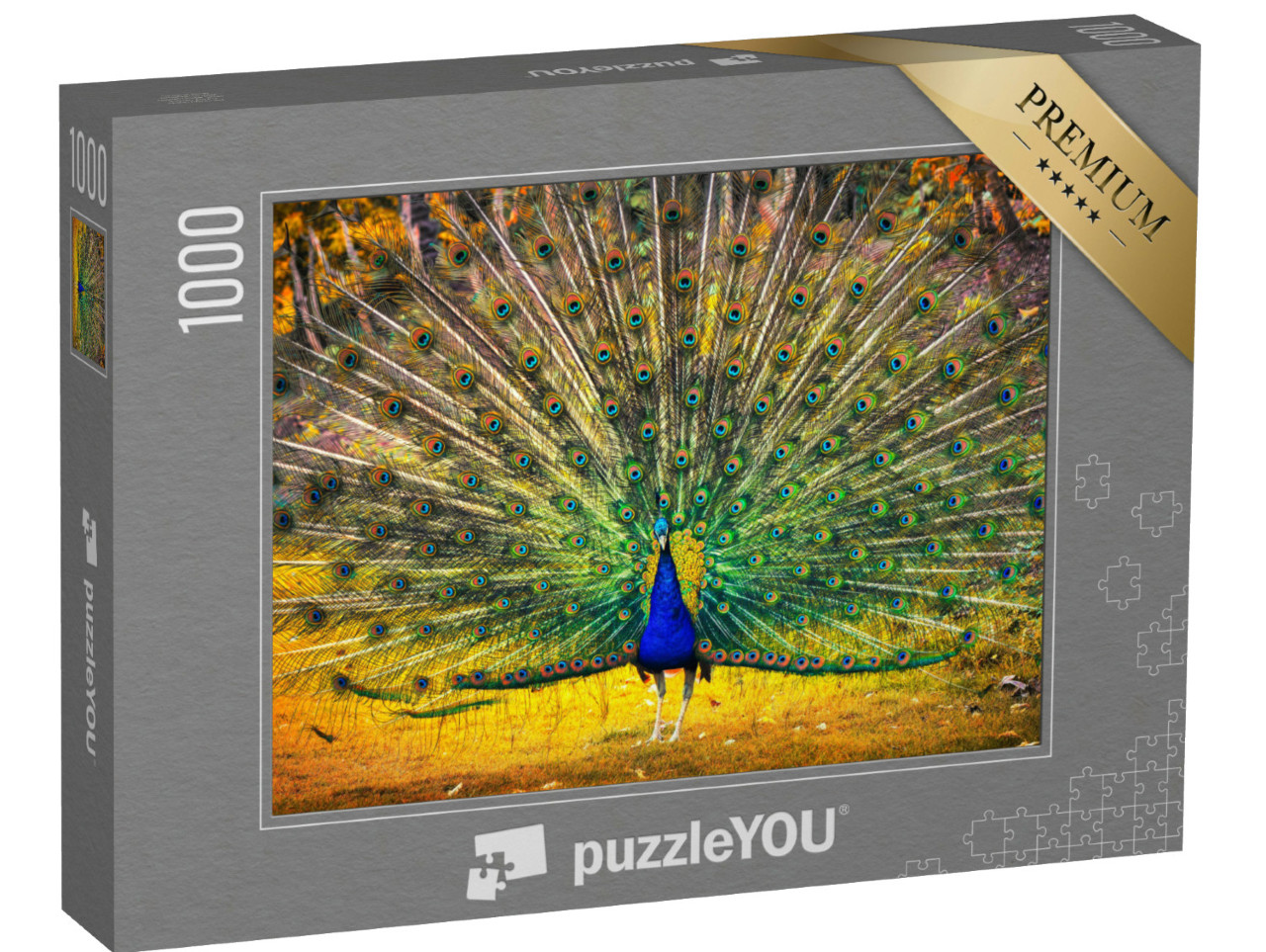 Puzzle 1000 Teile „Blauer Pfau zeigt sein Gefieder“