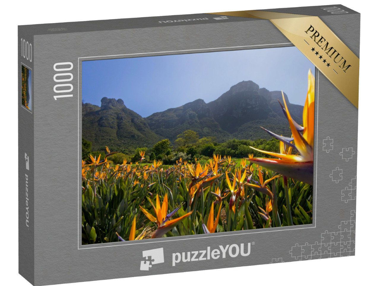 Puzzle 1000 Teile „Strelitzienblüten in den Kirstenbosch Gärten“