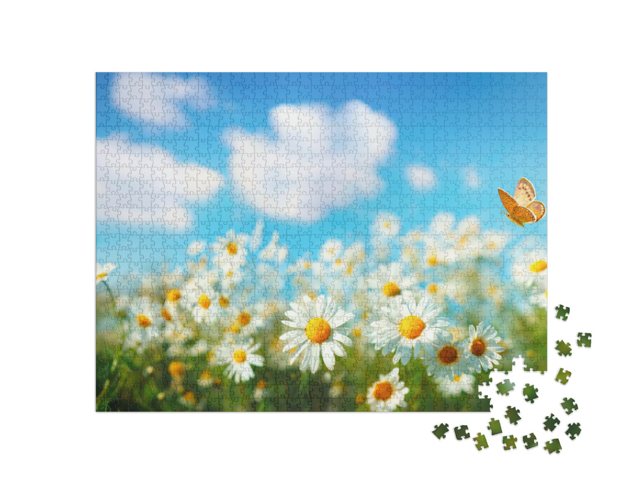 Puzzle 1000 Teile „Gänseblümchen“