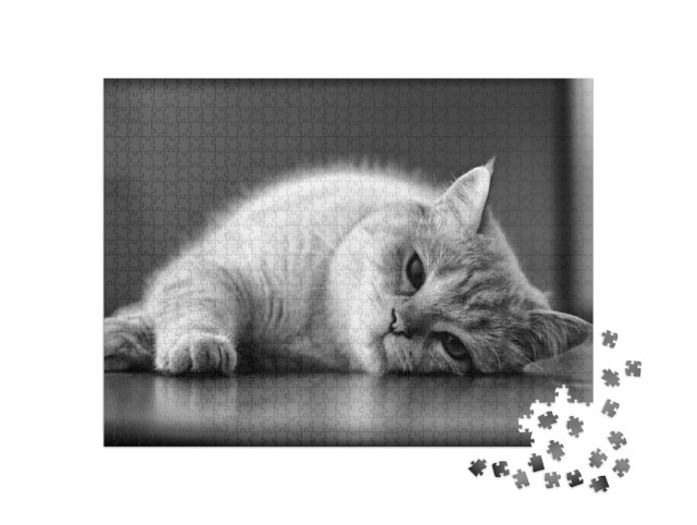 Puzzle 1000 Teile „Schläfrige Katze, schwarz-weiß“