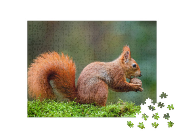 Puzzle 500 Teile „Ein rotes Eichhörnchen frisst eine Nuss auf einem Moosstamm“