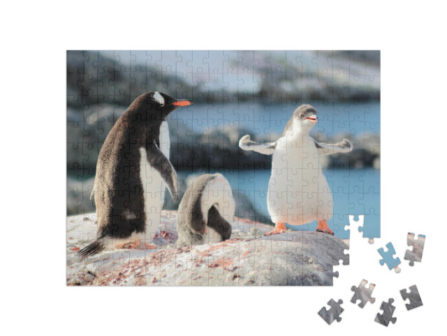 Puzzle 200 Teile „Wer ist der stärkste Pinguin?“