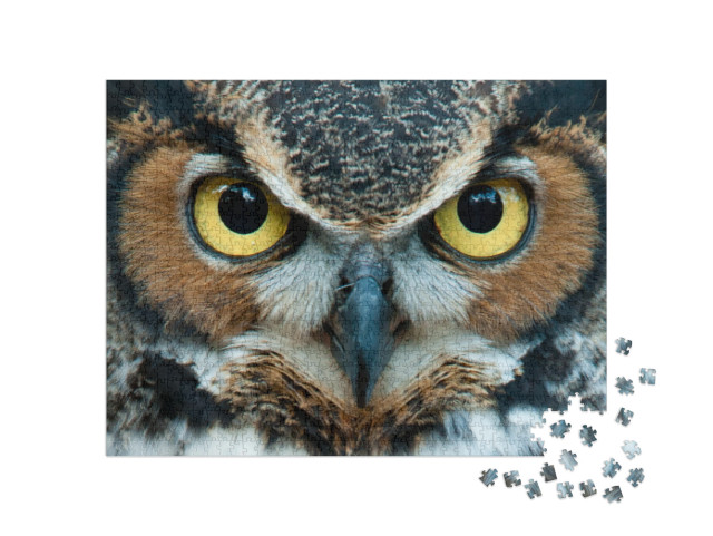 Puzzle 1000 Teile „Eine Eule mit goldenen Augen“
