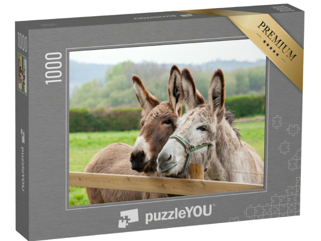Puzzle 1000 Teile „Eselfamilie im Freien auf der Wiese“